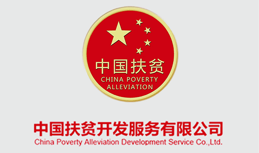 中国扶贫开发服务有限公司